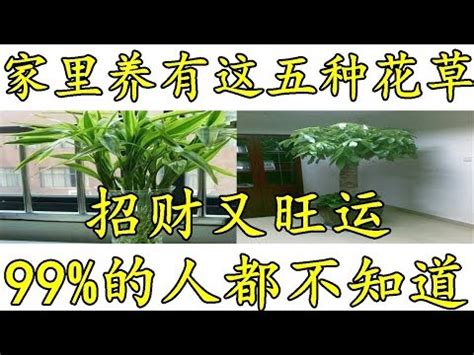 門口種花風水|風水師推薦：6種招財植物大公開